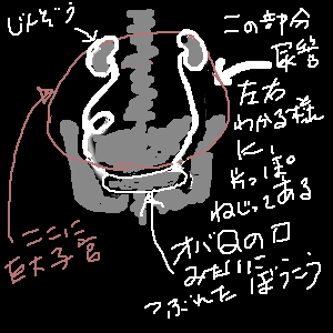 イラスト 2.png